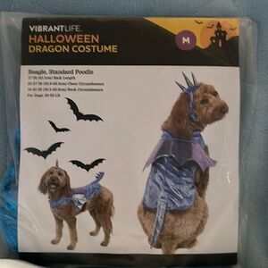 New Dragon Pet Costume